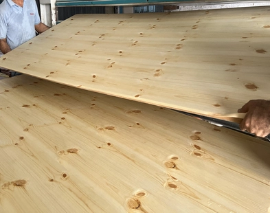 production unit for veneer pressing in Ajman